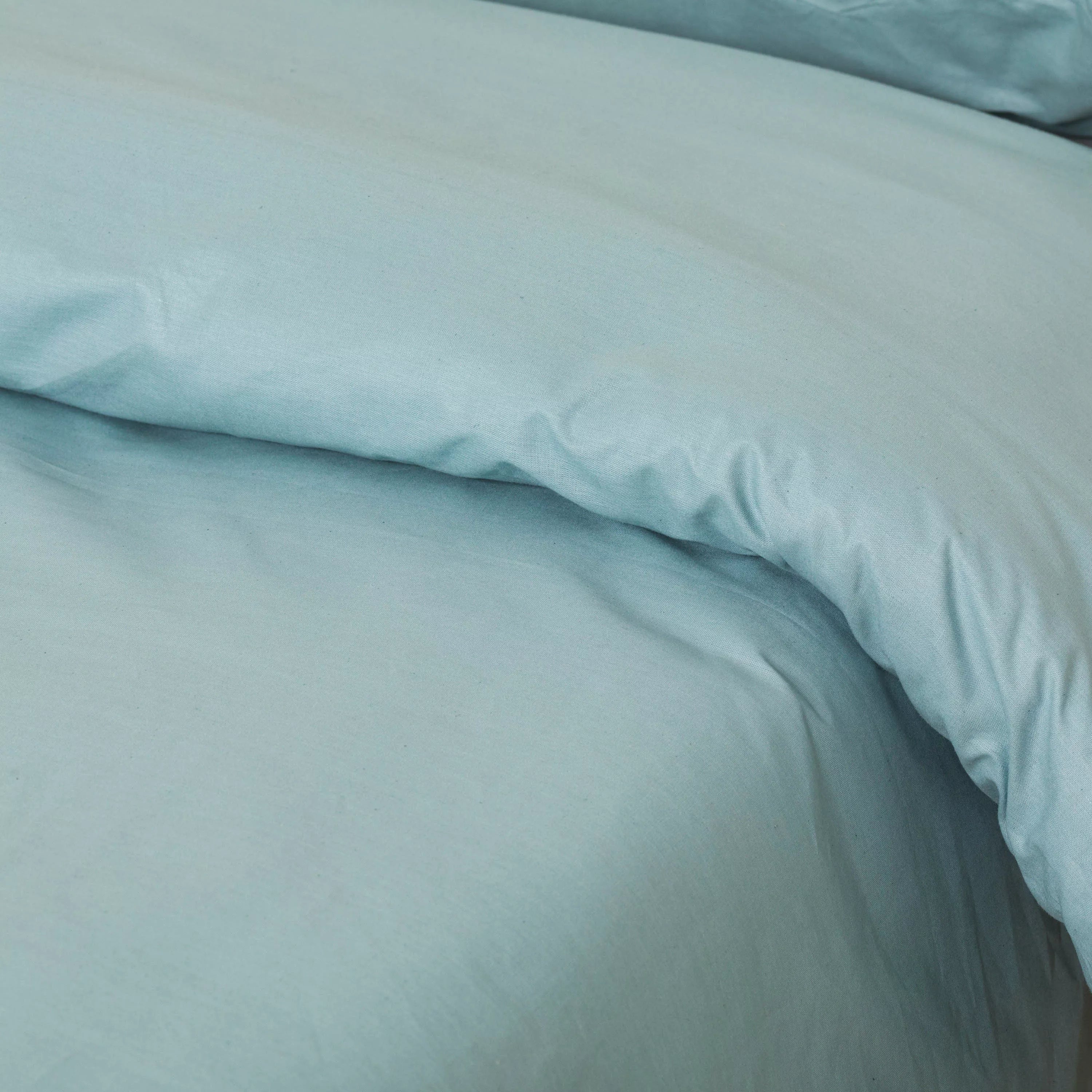 COPRIPIUMINO ALG DYE