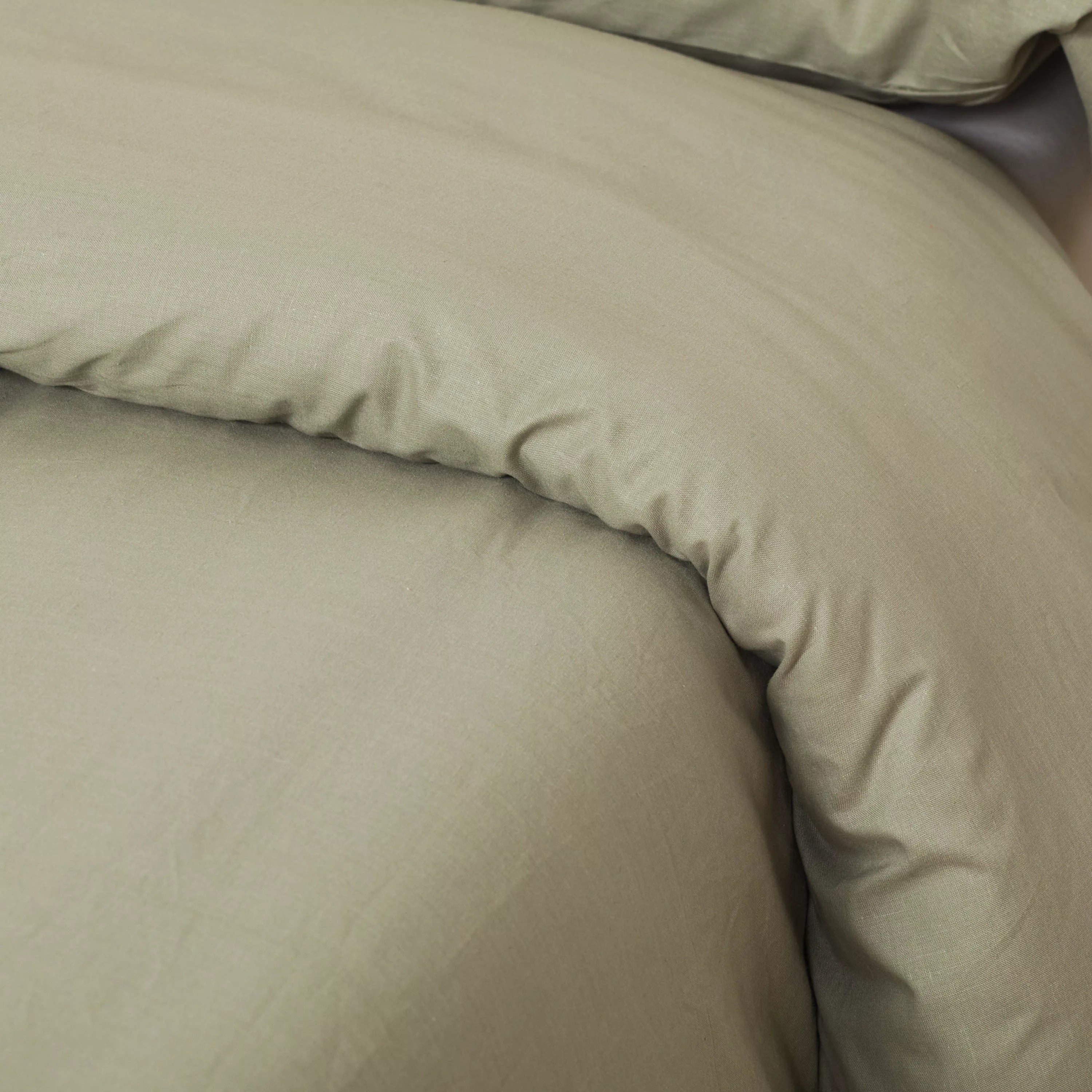 COPRIPIUMINO ALG DYE