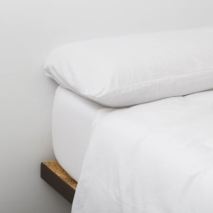 COPRIPIUMINO TINTURA DI ALGHE BIOLOGICA