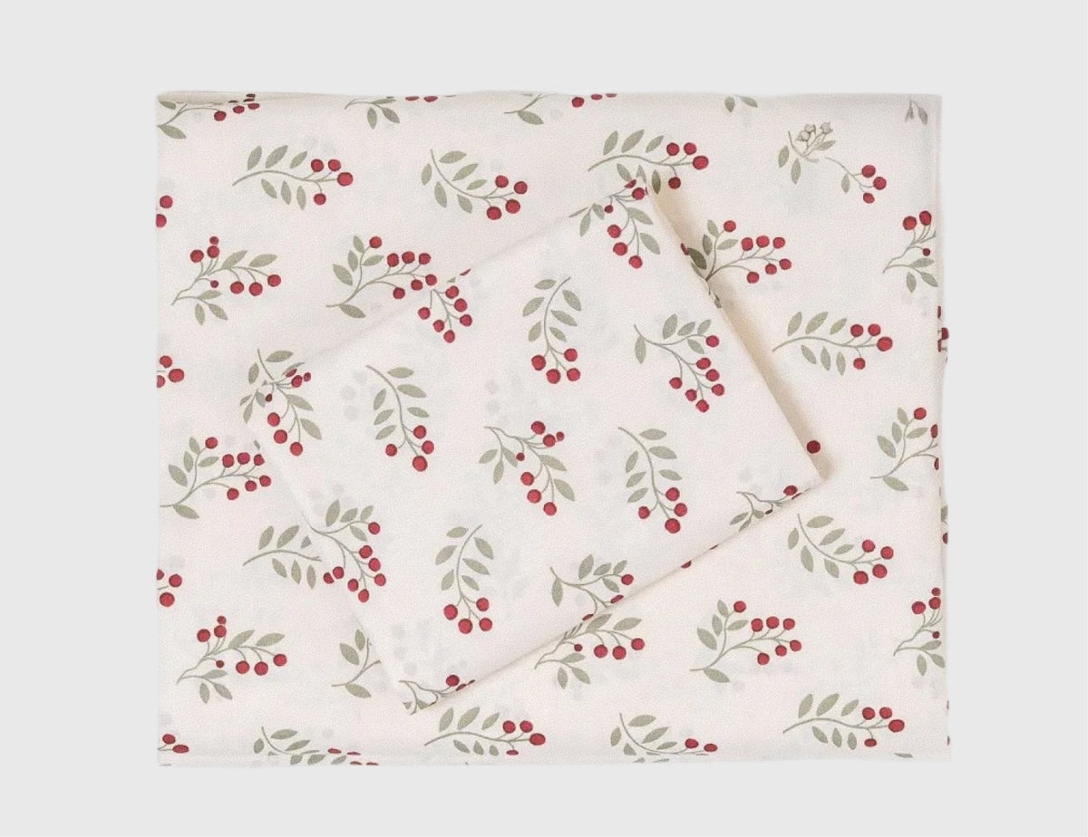 Lenzuola invernali da 15,99€